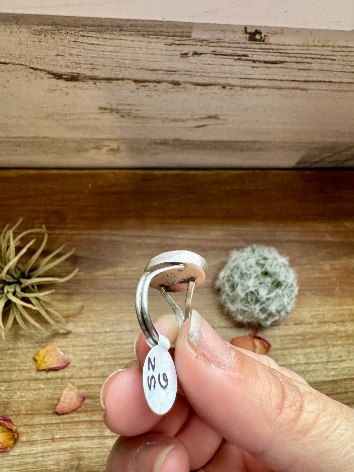 Ring - Size 6 -Purple Spiny & Sterling Silver