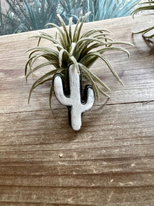 White cactus antler ring