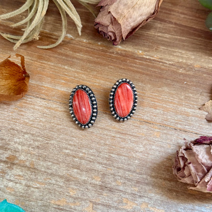 Red Spiny Oyster Beaded Border Stud Earrings – Option 2