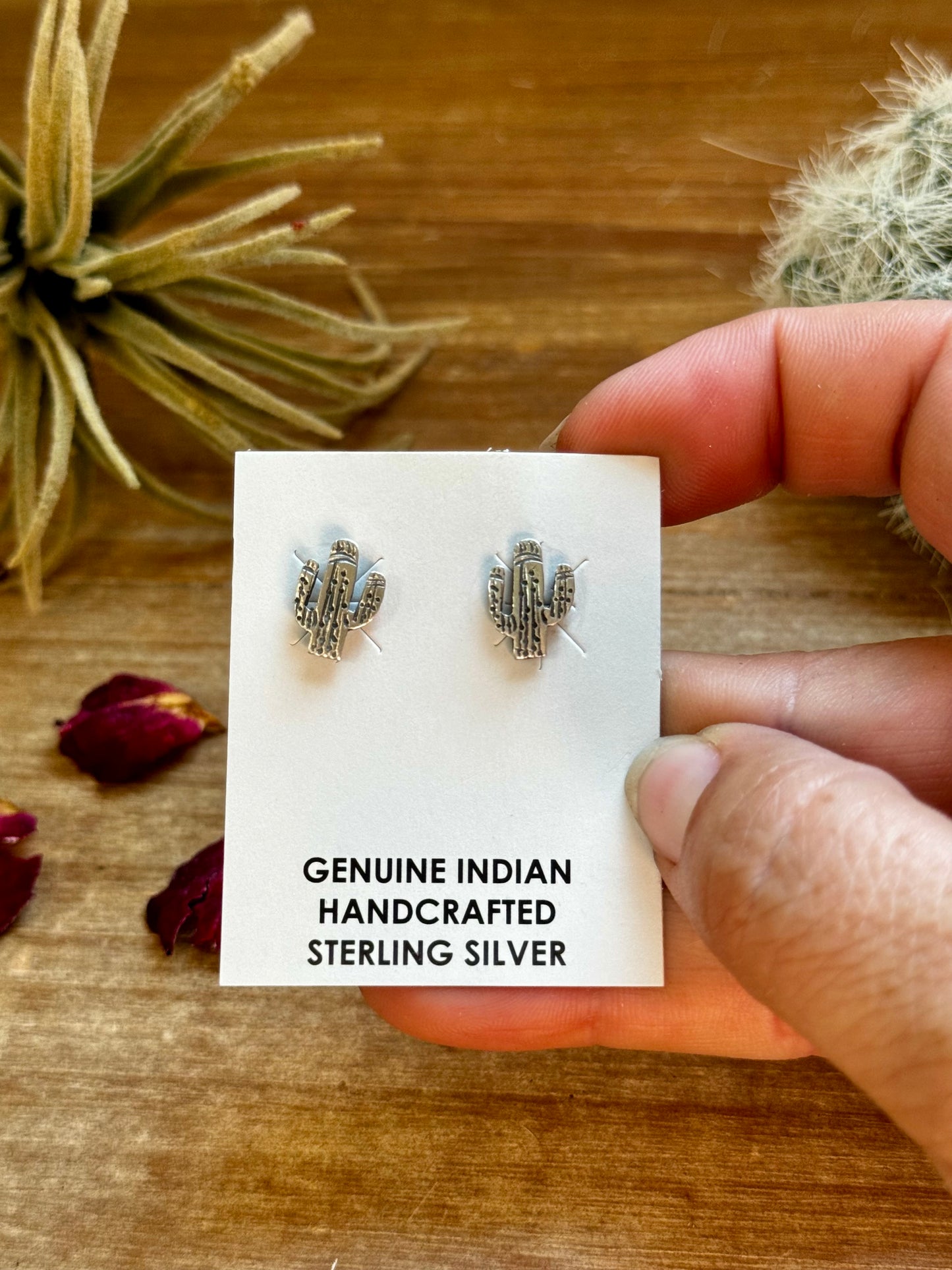 Mini cactus earrings stud