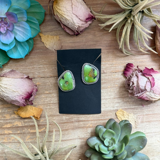 17 - Sterling Silver Sonoran Turquoise Stud Earrings by Jason Ogg