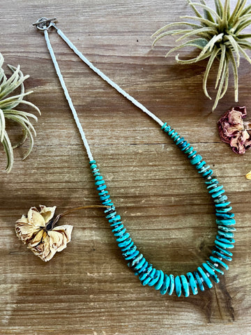 22 inch Graduated turquoise necklace and white shell