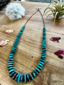 Graduated turquoise long necklace and shell 22 inch
